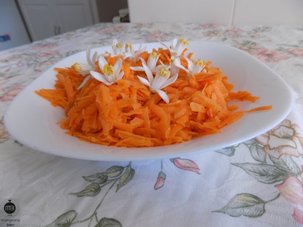 Râpe gourmet pour carottes râpées