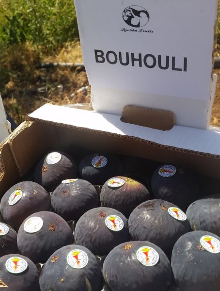 Bouhouli