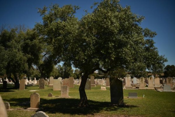 cimetière