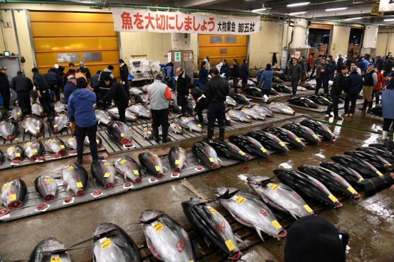 Tsukiji